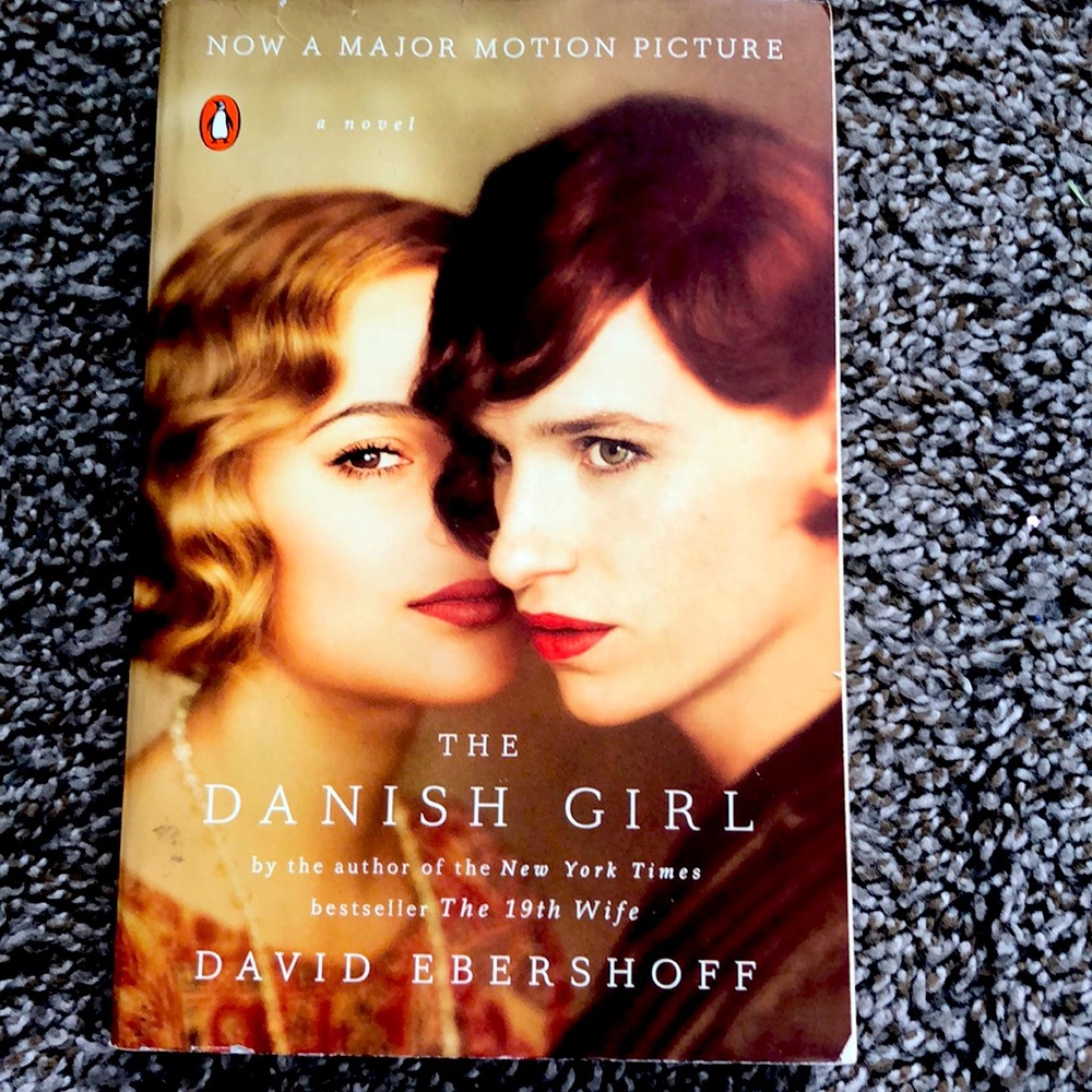The Danish Girl book